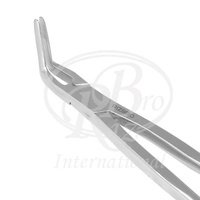 Fragment de ligne mince pince dentaire équine latérale à quatre broches en acier inoxydable 19 "Instruments chirurgicaux vétérinaires pour molaires équines