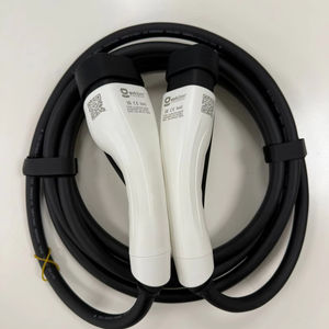 Nuevo Cable de Carga para Vehículos Eléctricos, 3.7kW, 250V, Monofásico, CA, Impermeable, Resistente al Polvo, 16A, 10 Metros de Largo - Product Image 1