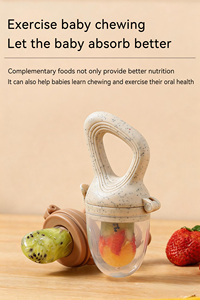 Alimentador y <span class=keywords><strong>Mordedor</strong></span> de Frutas para Bebés al por Mayor, Chupete de Silicona 2 en 1 con Bolsa de Malla, <span class=keywords><strong>Precio</strong></span> de Fábrica, OEM/ODM Personalizado - Product Image 6