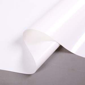 <span class=keywords><strong>Película</strong></span> de Fluoruro de Polivinilideno (PVDF) Transparente de 25 micras Resistente a la <span class=keywords><strong>Intemperie</strong></span> - Product Image 4