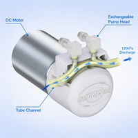 Mini pompe à eau péristaltique SC2601RPW DC 12V, 100-300 ml/min, tête de pompe interchangeable, faible bruit 65 dB pour robot de balayage