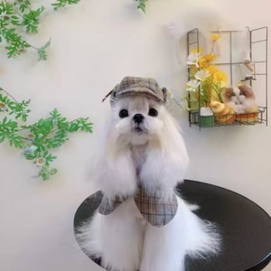 Chapeau et cape de détective pour chien Sherlock Holmes, en polyester écologique, amusant, à carreaux, pour l'Halloween, pour chat britannique à poils courts - Product Image 3