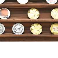 Présentoir Commémoratif Multifonctionnel Moderne en Bois de Pin à Trois Niveaux, Réglable, pour Pièces de Monnaie et Badges, avec Support d'Identification de Pièces