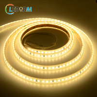 Bande LED Dimmable Haute Tension AC110V/220V, Longue Portée, Étanche IP67, SMD2835, 120 LED/m, pour Intérieur/Extérieur, Idéale pour le Commerce