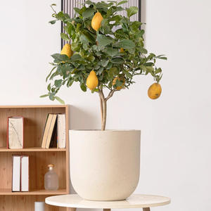 Vasi e <span class=keywords><strong>Fioriere</strong></span> <span class=keywords><strong>in</strong></span> <span class=keywords><strong>Cemento</strong></span> <span class=keywords><strong>Bianco</strong></span> Liscio per Decorazioni Esterne, Misure Personalizzabili Disponibili - Product Image 2