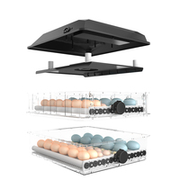 Incubadora inteligente para el hogar, doble fuente de alimentación, 1 capa, 64 huevos