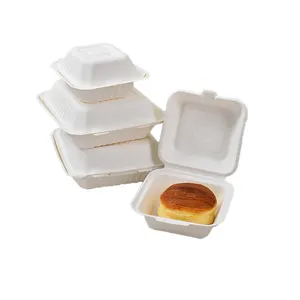 Phân Hủy Sinh Học Lớn Vỏ Sò Bánh Hamburger Hộp Cho Takeout Hot Chó Mía Giấy Bọc Bánh Hamburger Hộp