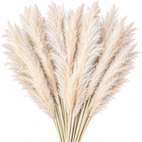 Herbe de la Pampa Naturelle Séchée en Gros, Grande Taille 120cm, Bouquet de Fleurs Flottantes pour Mariage, Événement, Décoration d'Intérieur, Décoration de Vase