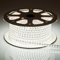 Bande lumineuse LED 2835 110v 220v 100m/rouleau Étanche