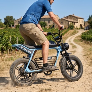 Bicicleta Eléctrica con Llantas Gruesas de Color Verde Personalizado, con Desviador de 7 Velocidades, Bicicleta para Recorridos Rurales y Exploración de Pueblos - Product Image 4