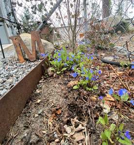 ขอบตกแต่งสวนโลหะอาร์ตเดโคแบบคอร์เทน พร้อมปรับแต่งขนาดได้ - Product Image 6