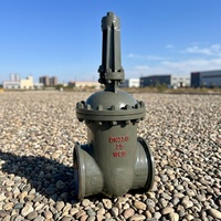 Vanne à opercule en acier inoxydable 2"/4"/6"/8" DN50/DN100/DN150/DN200 316L/304/CF8M/CF3/Duplex 2507/Inconel625 Classe 150-300 SW en stock