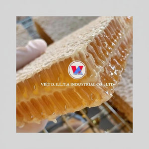 Miel naturel en vrac du Vietnam |   Source multi-florale pure |   Fournisseur d'exportation - Product Image 1