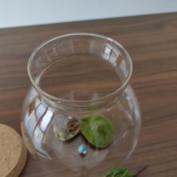 Mini terrarium en verre avec bouchon en bois et lumière LED pour la décoration de la maison, mini vase sphérique en mousse naturelle pour table
