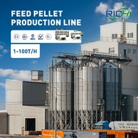 Máquina de Alimento para Peces de Acuicultura, Precio de Fábrica RICHI, Línea de Producción de Alimento para Pollos, Máquina para Elaborar Alimento para Animales
