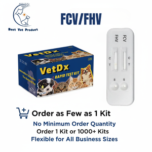 Haustierpflege Feline FIPV Katzen-FIP Schnelltest-Kit Testkit <span class=keywords><strong>Herpes</strong></span> / Calicivirus FeLV FIV FCV FHV Haustier-Detektionskit für Feline Giardia - Product Image 2