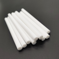 2.5mm à 21mm Fiber De Roseau Diffuseur Bâton Blanc Humidificateur Filtre Recharge D'huile Parfumée