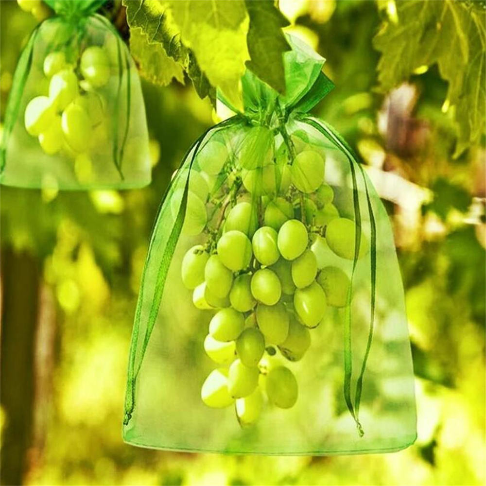 100 Sac Protection Fruits Sacs ,Filets Protection Des Grappes De