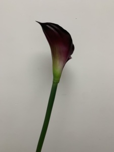Fiori di Calla Artificiali di Alta Qualità per Decorazioni Domestiche, Matrimoni, Eventi, Natale e <span class=keywords><strong>Festa</strong></span> <span class=keywords><strong>della</strong></span> <span class=keywords><strong>Mamma</strong></span> - Product Image 3