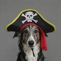 Chapeau de pirate amusant et réglable pour petits chiens et chats – Idéal pour Halloween et les fêtes costumées – Offre spéciale