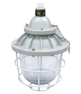 Ampoule LED antidéflagrante, luminaire à économie d'énergie appliqué dans les usines industrielles et les zones à risque d'explosion. - Product Image 5