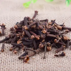 QC 2024 Premium Organic Ground Cloves Chinese Spices Wholesale Factory Supply