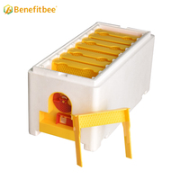Kit de démarrage d'apiculture pour l'élevage de reines, avec boîte de reproduction et ruches en polystyrène à double mousse
