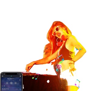 2025 nuevo Hengyu silicona neón Flexible tira música sincronización Control de voz direccionable Rgb <span class=keywords><strong>Led</strong></span> tira Rgbic Smart Wifi <span class=keywords><strong>Led</strong></span> luz de neón - Product Image 5