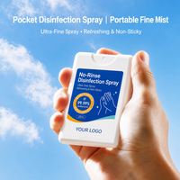Spray désinfectant pour les mains portable, sans rinçage, sans alcool, pour les voyages, les hôtels, les avions, étiquette privée personnalisée, vente en gros