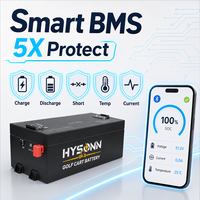 Paquete de Baterías Prismáticas LFP de 51.2V 65Ah 105Ah 150Ah, Disponibles en Stock, Batería de Litio de 48 Voltios para Transporte en Resorts, Patrullaje y Mantenimiento
