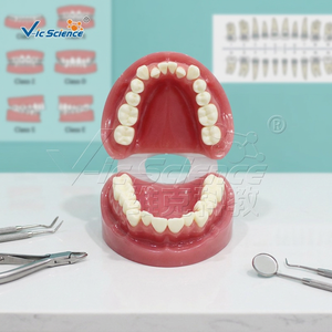 Modèle anatomique orthodontique de malocclusion en PVC, modèle de formation dentaire - Product Image 5