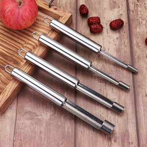 Ensemble d'outils à retirer le noyau des fruits en acier inoxydable 0.8CM 1.0CM 1.4CM 2.0CM pour pommes, dattes rouges, cerises, aubépines - Product Image 1