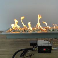 Brûleur de chauffage de terrasse à gaz télécommandé