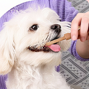 Pasta <span class=keywords><strong>de</strong></span> dientes <span class=keywords><strong>de</strong></span> silicona ecológica <span class=keywords><strong>para</strong></span> <span class=keywords><strong>perros</strong></span> y gatos, eficaz <span class=keywords><strong>para</strong></span> reducir <span class=keywords><strong>el</strong></span> mal <span class=keywords><strong>aliento</strong></span>, cálculo Dental, diente <span class=keywords><strong>de</strong></span> Mascota - Product Image 3