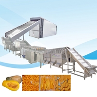1TH ligne de production de purée de citrouille de haute qualité usine de traitement de farine de poudre de citrouille