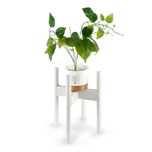 Support <span class=keywords><strong>de</strong></span> fleurs blanc WDF OEM, présentoir réglable pour plantes, <span class=keywords><strong>pot</strong></span> <span class=keywords><strong>de</strong></span> <span class=keywords><strong>fleur</strong></span> décoratif, supports <span class=keywords><strong>de</strong></span> fleurs en bois, designs <span class=keywords><strong>de</strong></span> supports <span class=keywords><strong>de</strong></span> plantes en bambou - Product Image 1