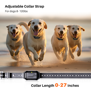 Collier de dressage pour chien rechargeable, double canal, télécommande 2000 pieds, verrouillage par bouton anti-erreur, pour entraînement d'animaux - Product Image 6