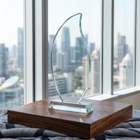 Trophée en cristal K9 poli en forme de goutte d'eau, vierge, personnalisable avec logo, pour récompenses, compétitions, plaques d'honneur et événements professionnels, vente en gros