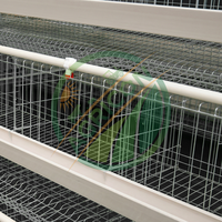 Système de cages en batterie pour élevages avicoles commerciaux 2026 – Cages en treillis métallique galvanisé pour 96-160 oiseaux avec collecte automatique des œufs