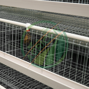 Nuevo Sistema <span class=keywords><strong>de</strong></span> Jaulas Comerciales para Gallinas Ponedoras, Proyectos Avícolas, Jaulas <span class=keywords><strong>de</strong></span> Malla <span class=keywords><strong>de</strong></span> Acero Galvanizado, 96-160 Aves, Recolección Automática <span class=keywords><strong>de</strong></span> Huevos - Product Image 2