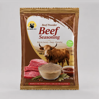 Poudre d'assaisonnement saveur bœuf (mélange séché) en gros, directement de l'usine, pour emballage personnalisé