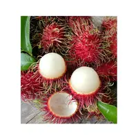 वियतनाम ताजा rambutan और डिब्बाबंद rambutan के लिए rambutan-थोक-Rambutan भरवां अनानास निर्यात करने के लिए यूरोपीय संघ, संयुक्त राज्य अमेरिका, कोरिया