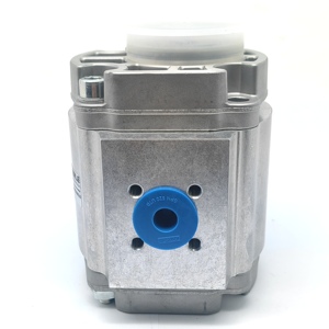 Bomba de Engranajes 0009810443 - Reemplazo OEM de Alta Precisión, Construcción Metálica, Capacidad de 1000 lb para un Funcionamiento Estable - Product Image 4