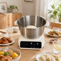 Machine à pâtes électrique multifonctionnelle en gros avec bol de 5 L, rouleau à pâte et machine à nouilles pour la cuisine