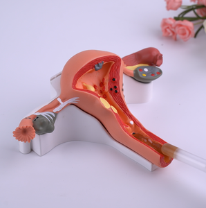 Hot Selling Vaginal Straffung sgel Straffung creme V Tight Pussi Straffen Vagin Yoni Gel - Product Image 5