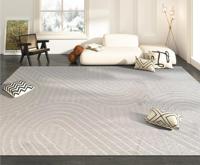 New 2024 Hot Selling Custom Tufted Rugs Soft and Comfortable Carpet Minimalist Style Living Room Carpet