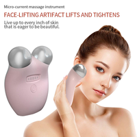 Appareil de lifting facial pratique, rechargeable par Type-C, 400 mAh, mini, compact, léger (120 g), portable pour les voyages, outil de massage spa