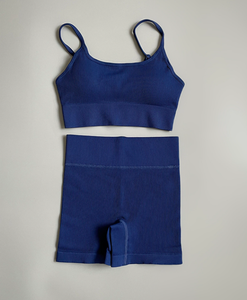 七彩时尚欧美性感瑜伽套装女式吊带文胸高腰健身短裤 - Product Image 2