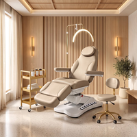 Table de soin électrique réglable avec lampe LED, lit de traitement pour salon de beauté, table de spa inclinable en cuir pour esthéticienne, vente en gros