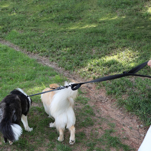 Guinzaglio per cani doppio per cani di taglia media e grande senza groviglio doppio piombo per animali domestici, guinzaglio Modulare regolabile con Hardware resistente - Product Image 3